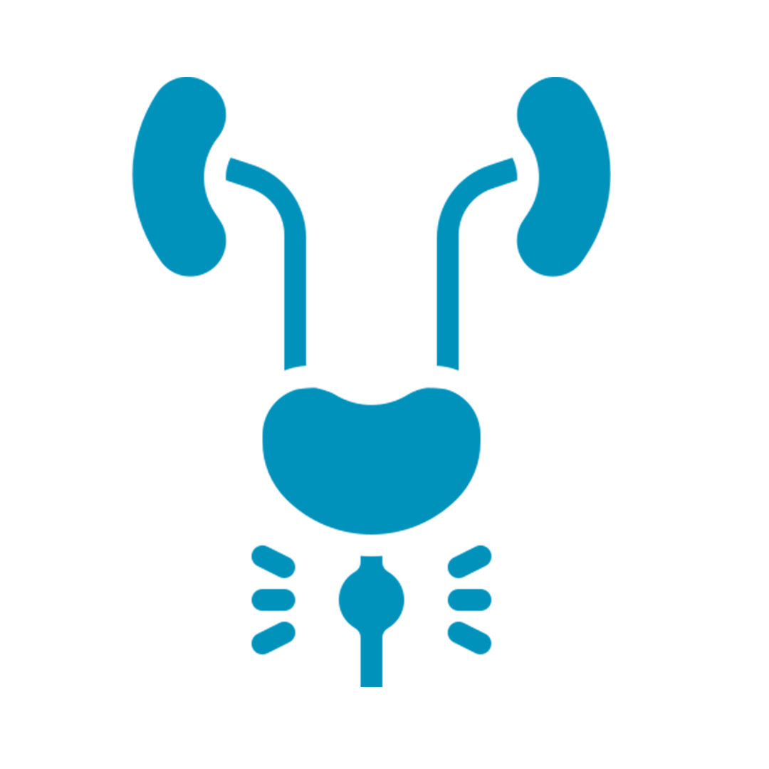 Urology